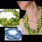 paper-jewelry